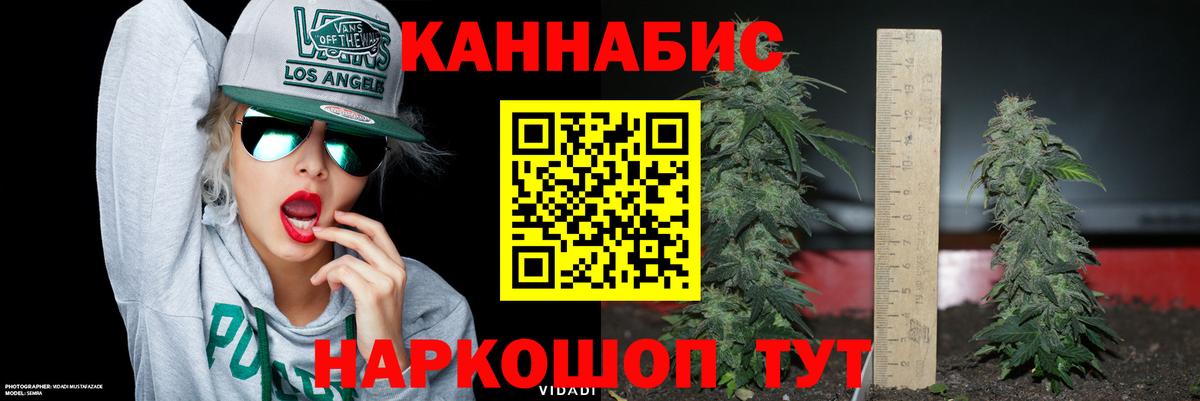 Шишки марихуана семена  Вход с VPN  Бошки марихуана план  Белая Калитва 
